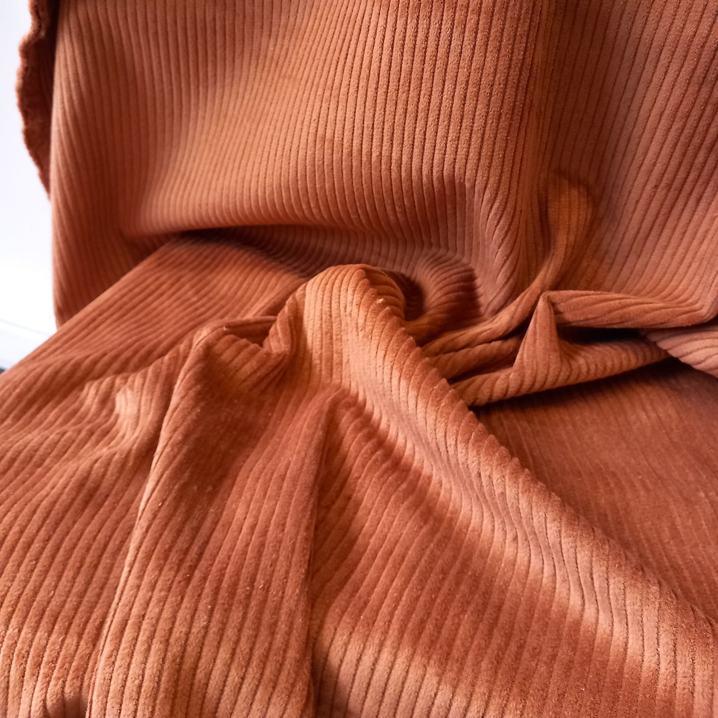 VELOURS COTELE CAMEL