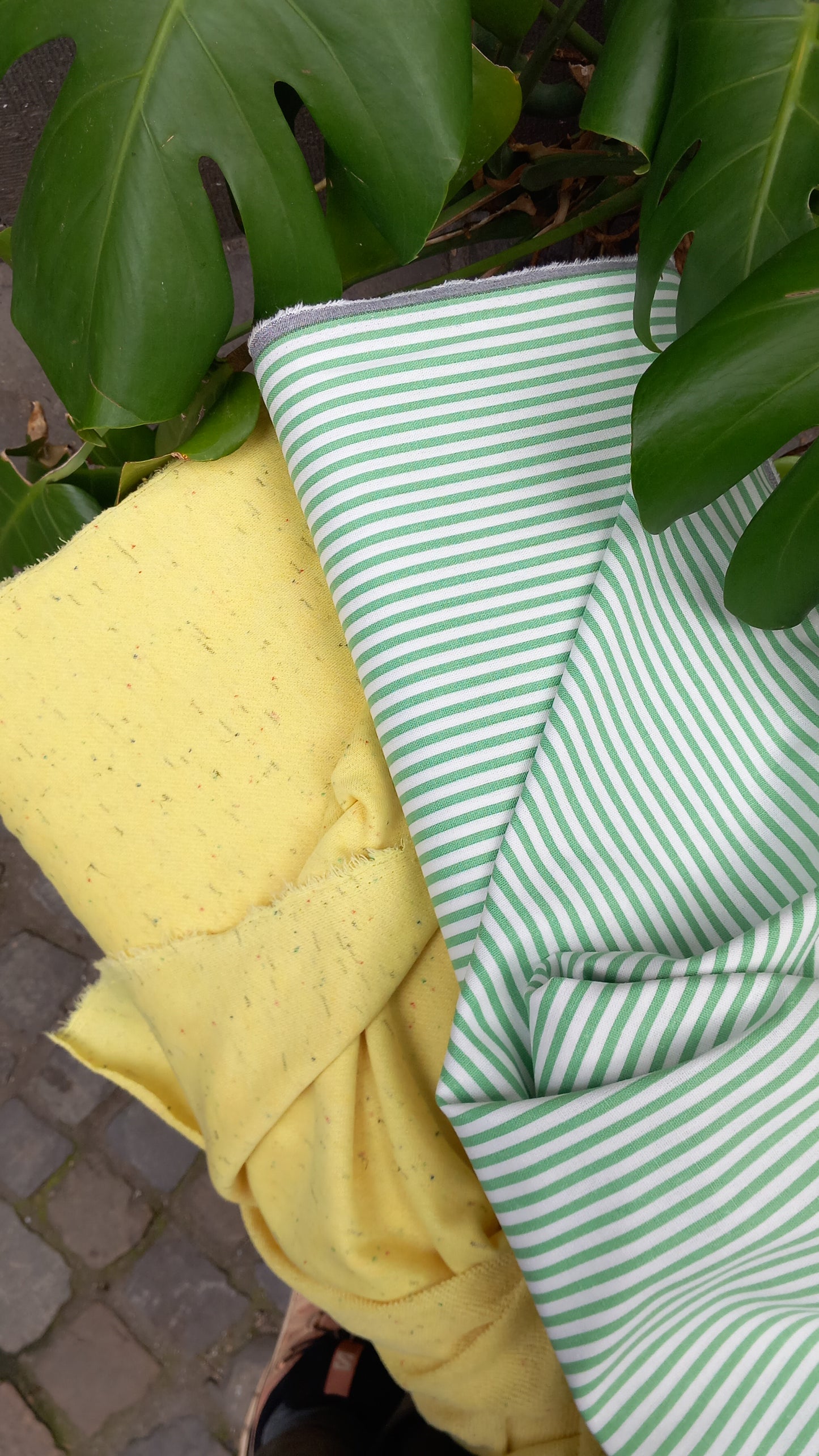 French Terry tweed jaune acidulé