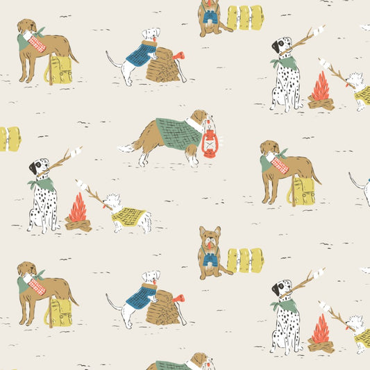 Popeline DOG CAMP
